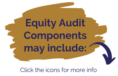 Image reading: Equity Audit Components may include.