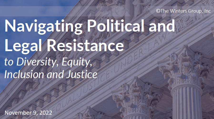 Virtual Learning Lab: Navigating Political and Legal Resistance to DEIJ Work